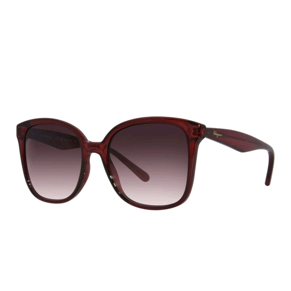 Elegant Salvatore Ferragamo Sunglasses SF1072S 630 56-19-140 NWT